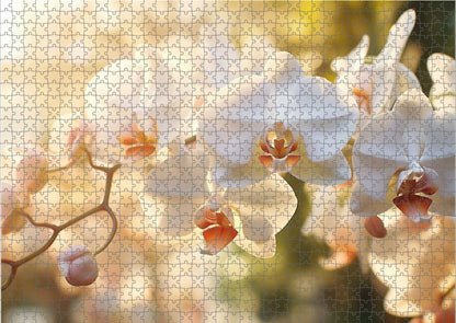 Das fertig gelegte KYUBA Premium-Puzzle 'Zen Orchids' mit perfekt passenden Puzzleteilen.