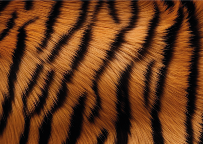 KYUBA Premium-Puzzle 'Wild Touch' in seiner edlen Design-Produktbox.