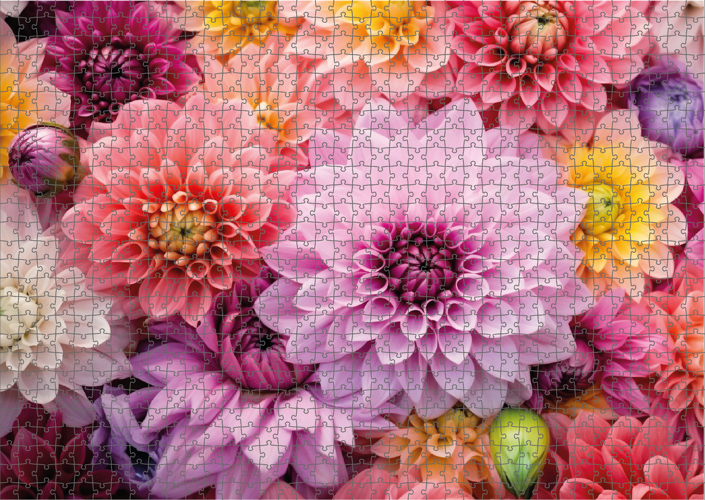 Blossom Explosion